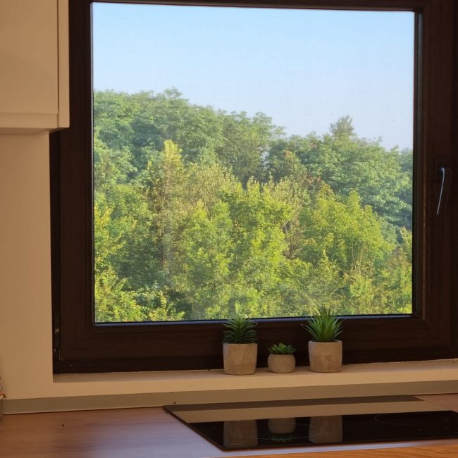 471ddfa3-6427-4ef5-ad28-511a6770977e