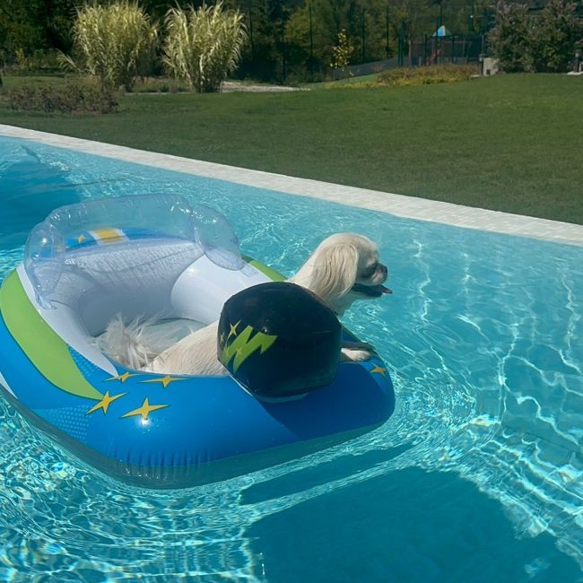 87c297a6-d818-43ec-8335-3e2e7b247b1f